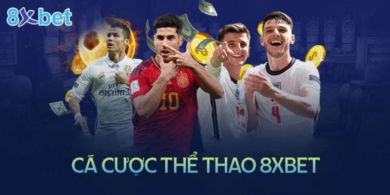 Một số điều mà người dùng cần quan tâm khi sử dụng 8xbet